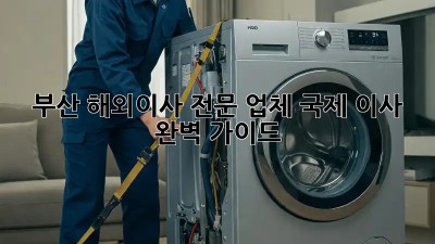 부산 해외이사 전문 업체: 국제 이사 완벽 가이드